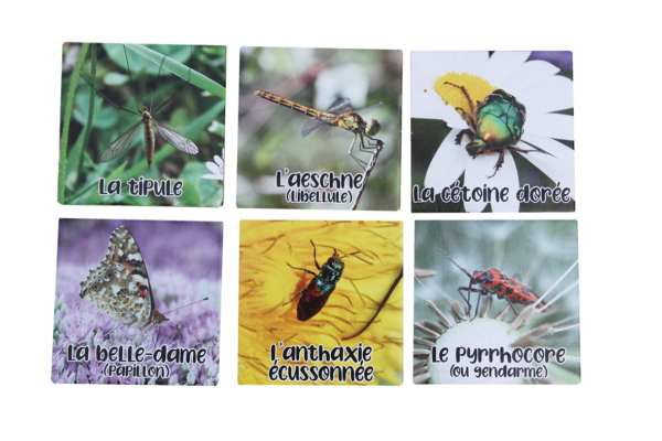 Mémo Petites bêtes – Image 2